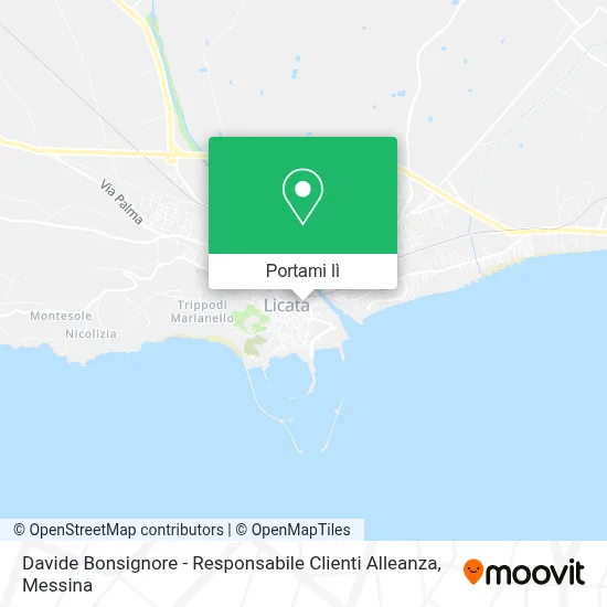 Mappa Davide Bonsignore - Responsabile Clienti Alleanza