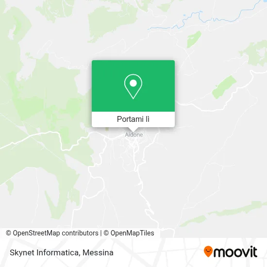 Mappa Skynet Informatica