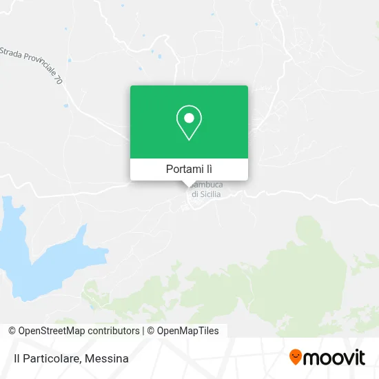 Mappa Il Particolare