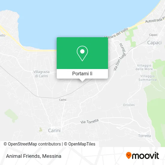 Mappa Animal Friends