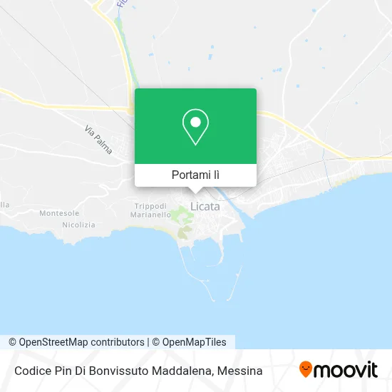 Mappa Codice Pin Di Bonvissuto Maddalena