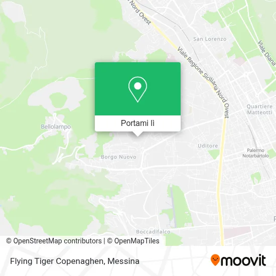 Mappa Flying Tiger Copenaghen