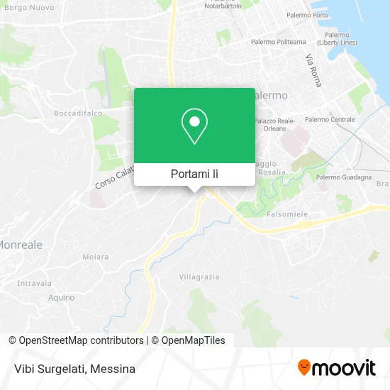 Mappa Vibi Surgelati