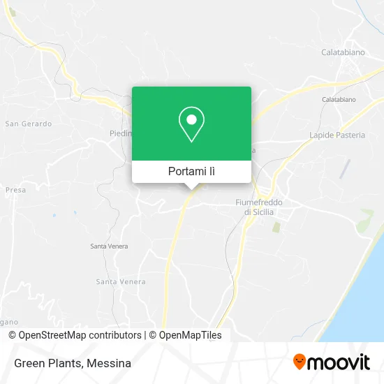 Mappa Green Plants
