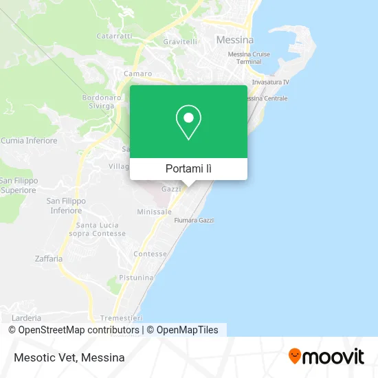 Mappa Mesotic Vet