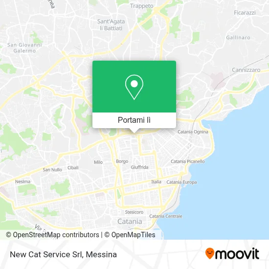 Mappa New Cat Service Srl