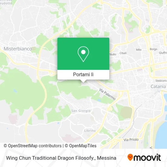Mappa Wing Chun Traditional Dragon Filosofy.