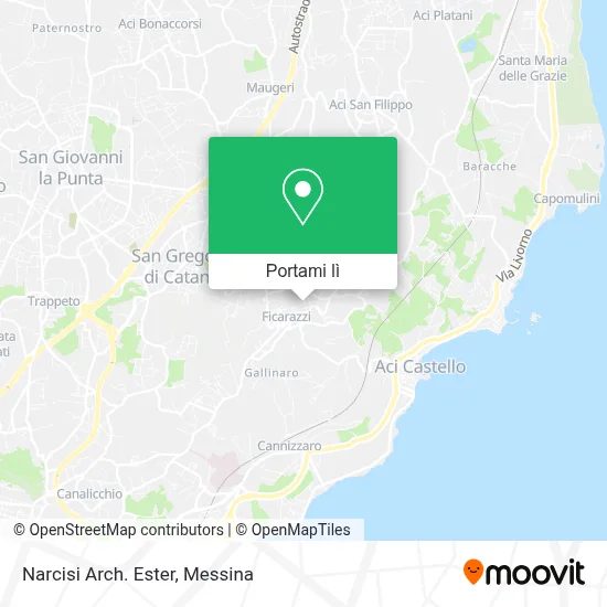 Mappa Narcisi Arch. Ester