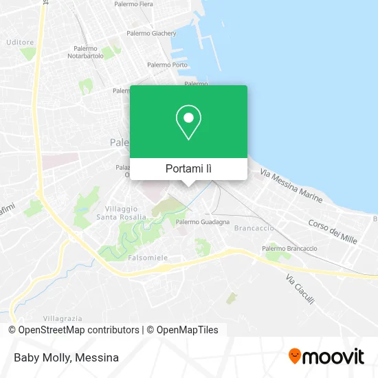 Mappa Baby Molly