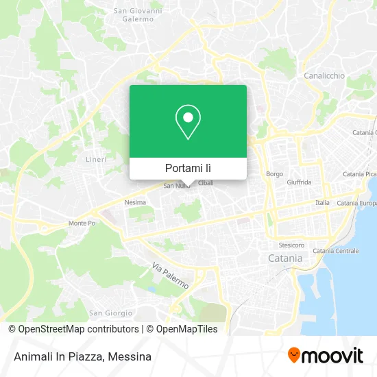 Mappa Animali In Piazza