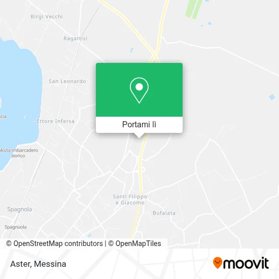 Mappa Aster