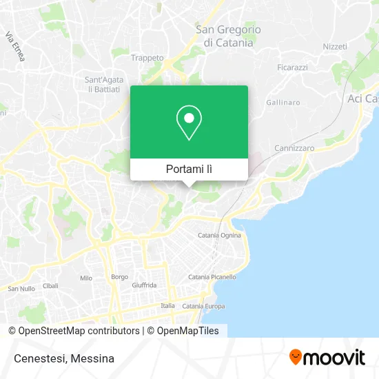Mappa Cenestesi