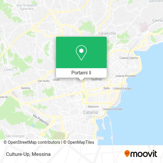Mappa Culture-Up