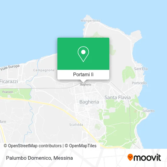 Mappa Palumbo Domenico