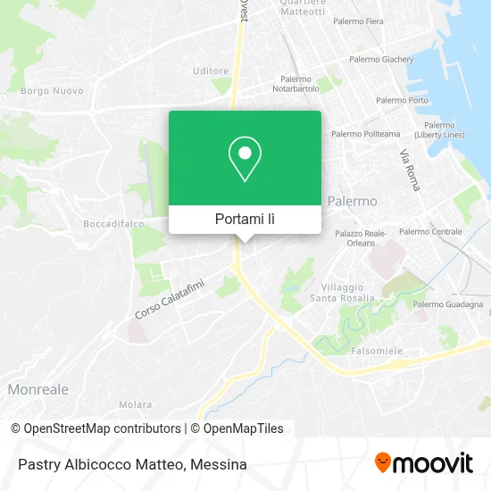 Mappa Pastry Albicocco Matteo