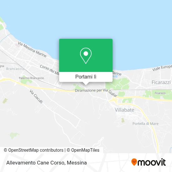 Mappa Allevamento Cane Corso