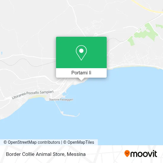 Mappa Border Collie Animal Store