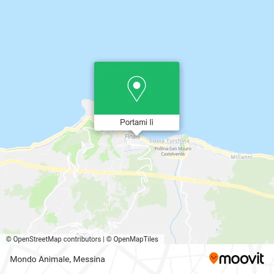Mappa Mondo Animale