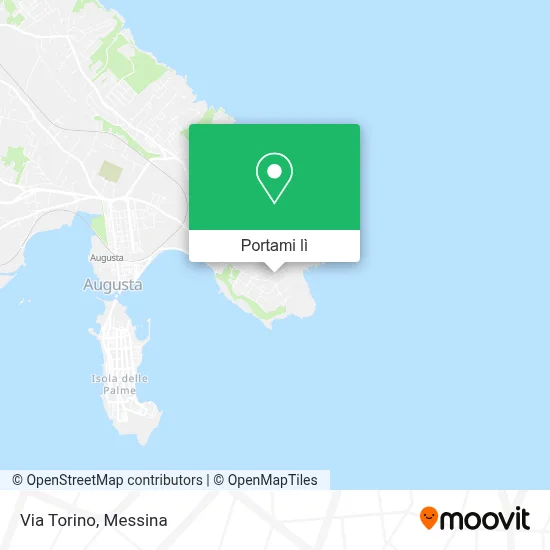 Mappa Via Torino