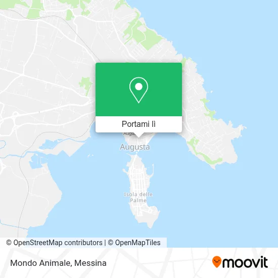 Mappa Mondo Animale