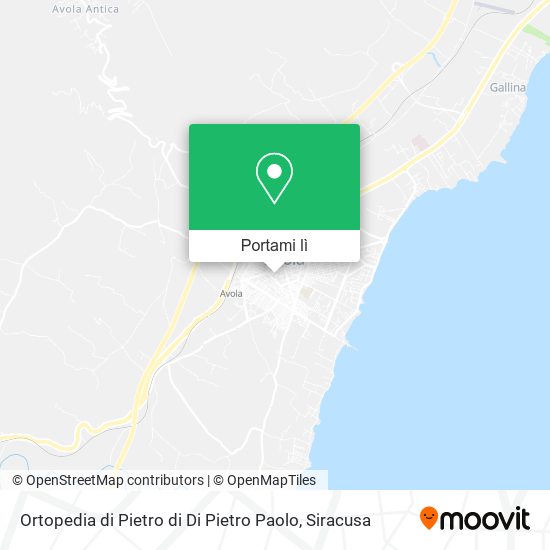 Mappa Ortopedia di Pietro di Di Pietro Paolo