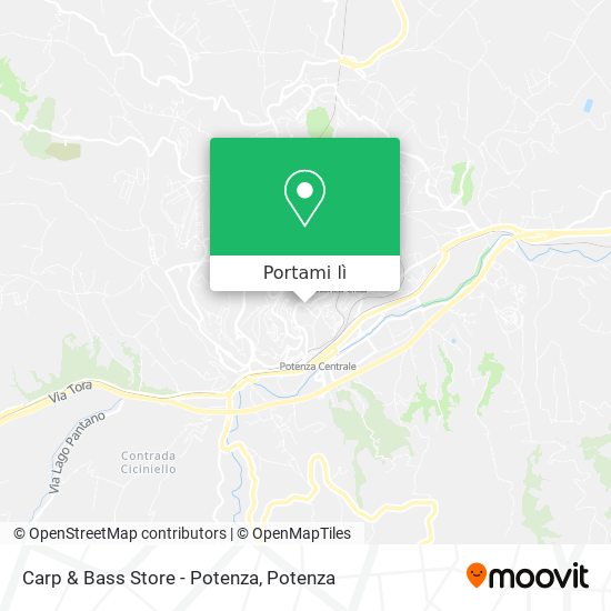 Mappa Carp & Bass Store - Potenza