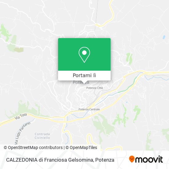 Mappa CALZEDONIA di Franciosa Gelsomina