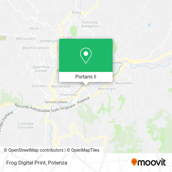 Mappa Frog Digital Print