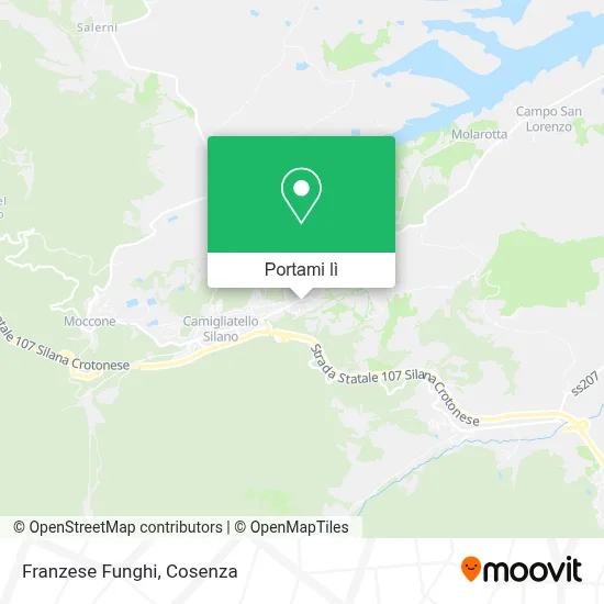Mappa Franzese Funghi