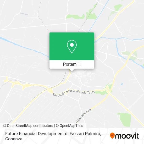 Mappa Future Financial Development di Fazzari Palmiro