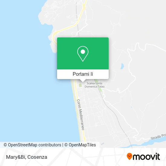 Mappa Mary&Bi