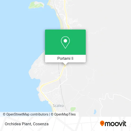 Mappa Orchidea Piant