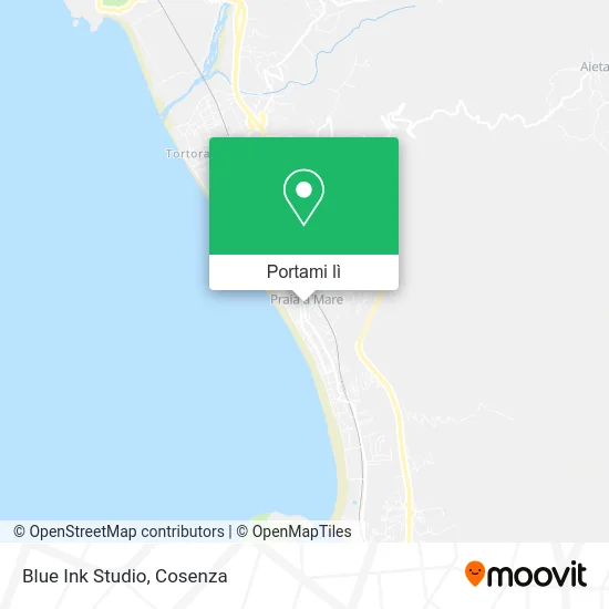 Mappa Blue Ink Studio