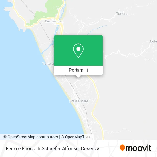 Mappa Ferro e Fuoco di Schaefer Alfonso