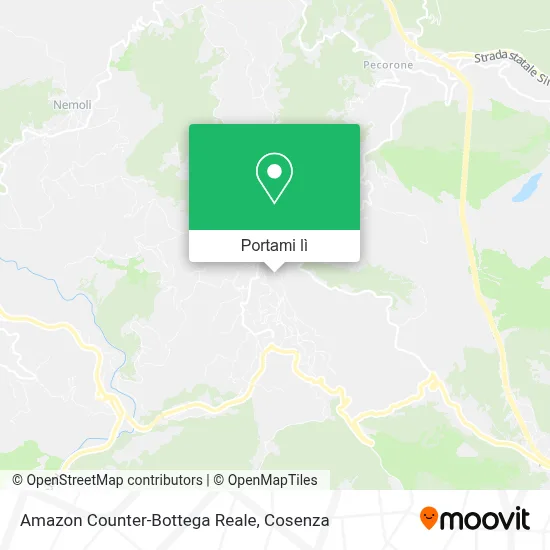 Mappa Amazon Counter-Bottega Reale