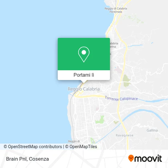 Mappa Brain Pnl