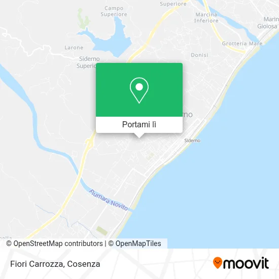 Mappa Fiori Carrozza