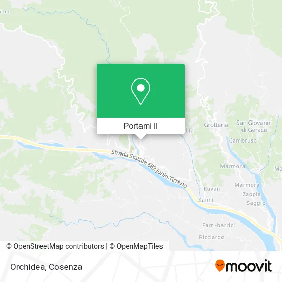Mappa Orchidea