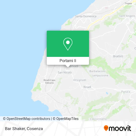 Mappa Bar Shaker