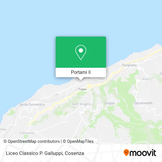 Mappa Liceo Classico P. Galluppi