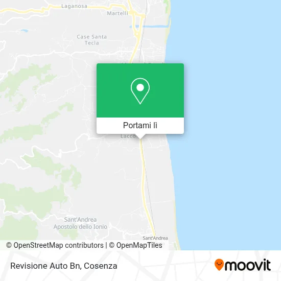 Mappa Revisione Auto Bn