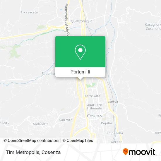 Mappa Tim Metropolis