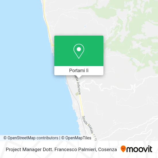 Mappa Project Manager Dott. Francesco Palmieri