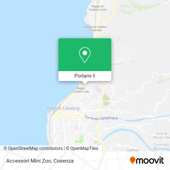 Mappa Accessori Mini Zoo