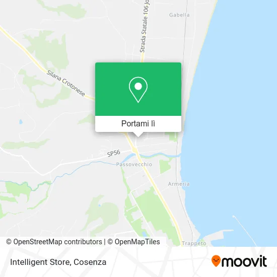 Mappa Intelligent Store