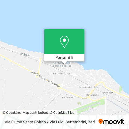 Mappa Via Fiume Santo Spirito / Via Luigi Settembrini