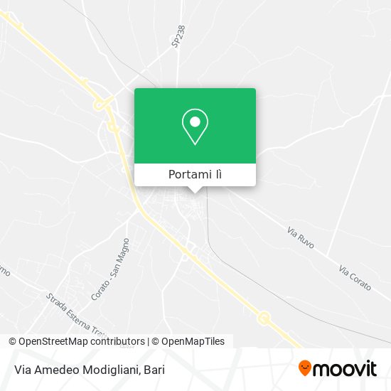 Mappa Via Amedeo Modigliani