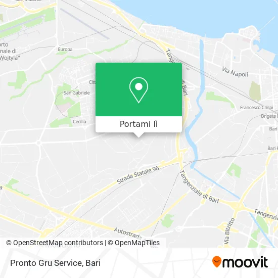 Mappa Pronto Gru Service