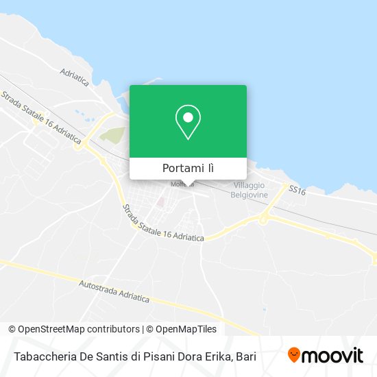 Mappa Tabaccheria De Santis di Pisani Dora Erika