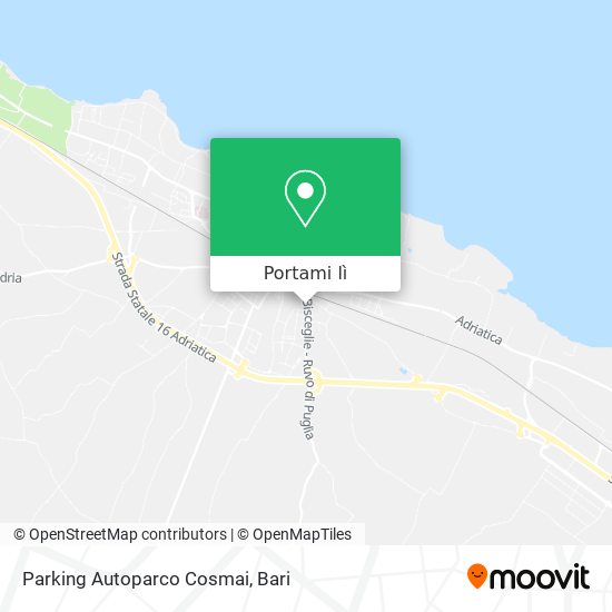 Mappa Parking Autoparco Cosmai